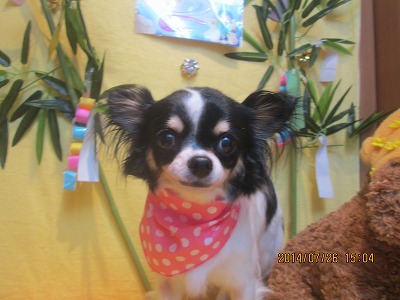 ファイル 7821-2.jpg