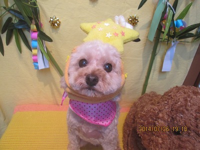 ファイル 7822-1.jpg