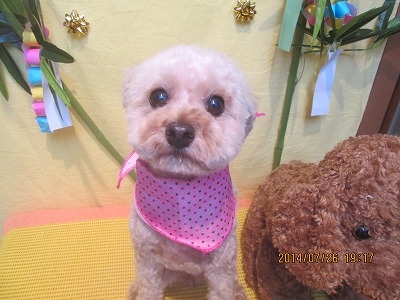 ファイル 7822-2.jpg