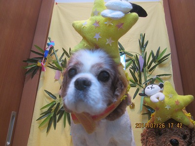 ファイル 7823-1.jpg