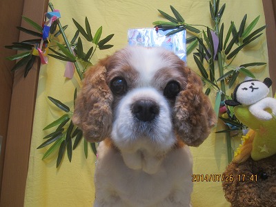 ファイル 7823-2.jpg