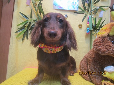 ファイル 7824-2.jpg