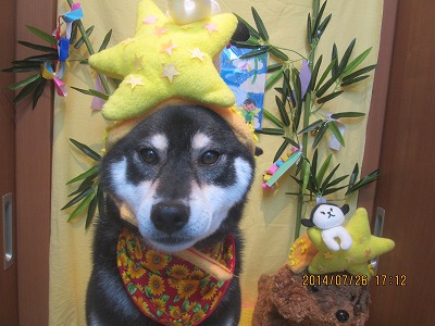 ファイル 7826-1.jpg