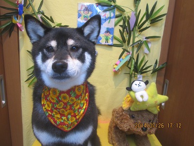 ファイル 7826-2.jpg