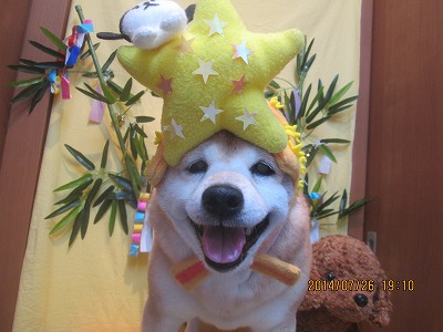 ファイル 7827-1.jpg