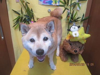 ファイル 7827-2.jpg