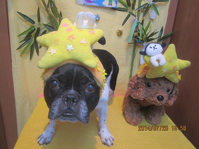 ファイル 7828-1.jpg