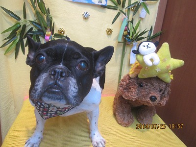 ファイル 7828-2.jpg