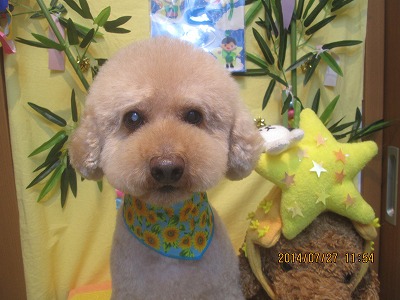 ファイル 7829-1.jpg