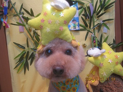 ファイル 7829-2.jpg