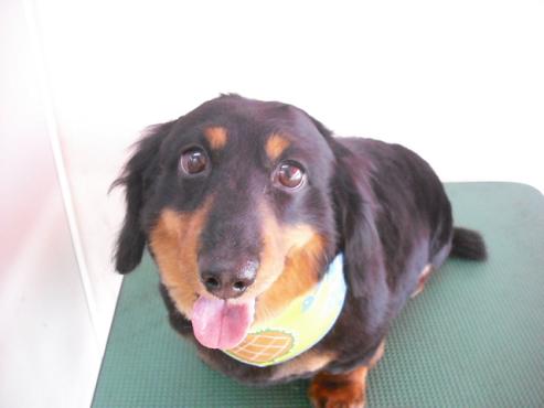 ファイル 783-1.jpg