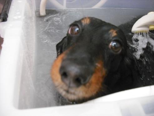 ファイル 783-2.jpg