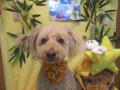 ファイル 7830-2.jpg