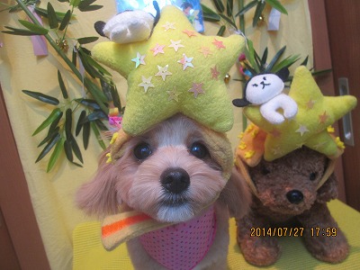 ファイル 7831-1.jpg