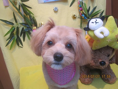 ファイル 7831-2.jpg