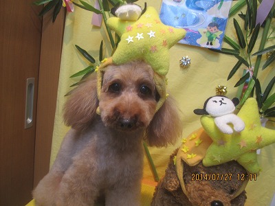 ファイル 7832-1.jpg