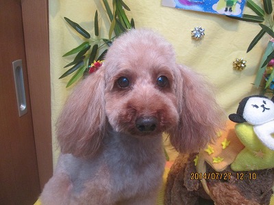 ファイル 7832-2.jpg