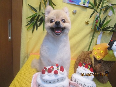 ファイル 7833-1.jpg