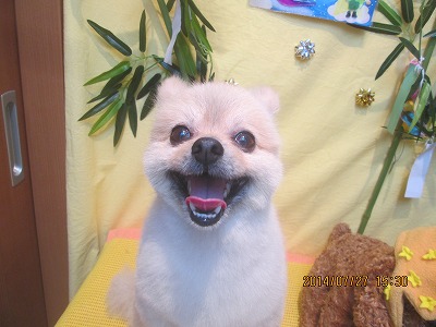 ファイル 7833-2.jpg