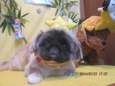 ファイル 7834-1.jpg