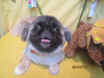 ファイル 7834-2.jpg