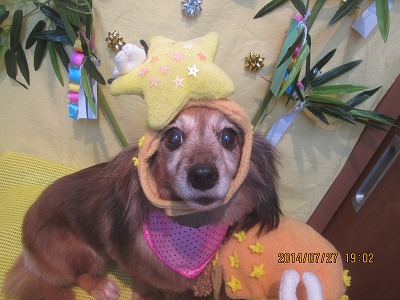 ファイル 7835-1.jpg