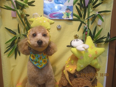 ファイル 7836-1.jpg