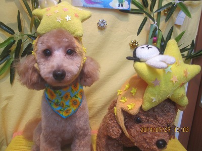 ファイル 7836-2.jpg