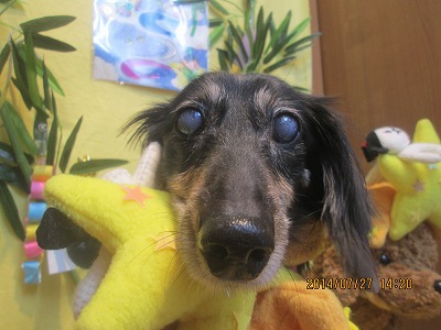 ファイル 7837-1.jpg