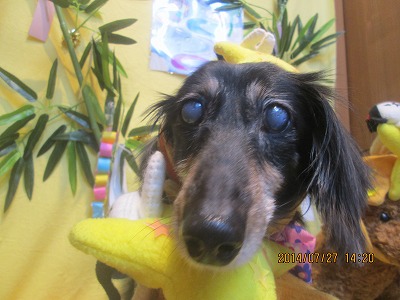 ファイル 7837-2.jpg