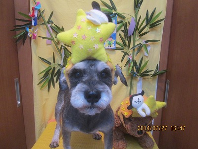 ファイル 7838-1.jpg