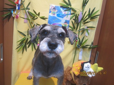 ファイル 7838-2.jpg