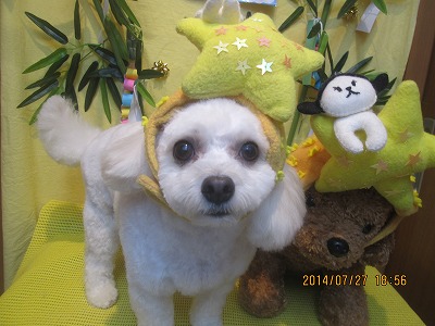 ファイル 7839-1.jpg