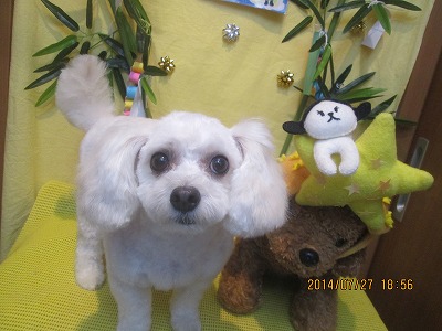 ファイル 7839-2.jpg