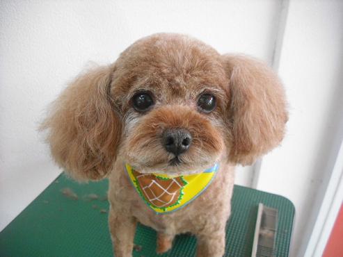 ファイル 784-1.jpg