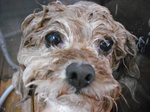 ファイル 784-2.jpg