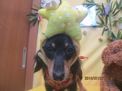 ファイル 7840-1.jpg