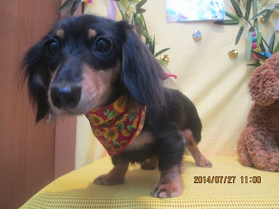 ファイル 7840-2.jpg