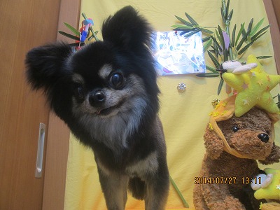 ファイル 7841-1.jpg