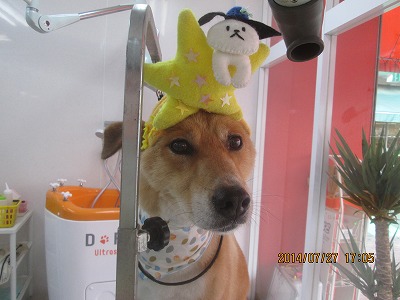 ファイル 7842-1.jpg