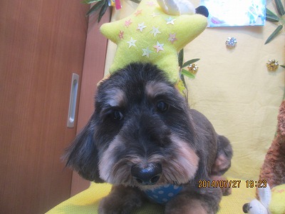 ファイル 7843-1.jpg