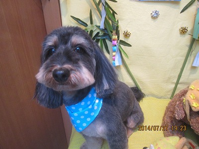 ファイル 7843-2.jpg