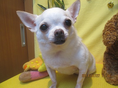 ファイル 7844-2.jpg