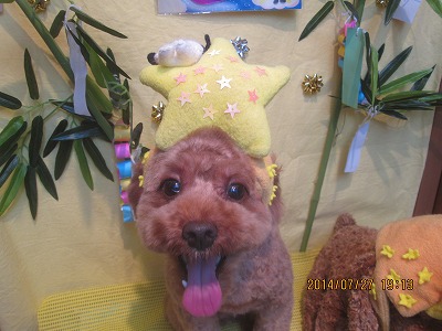 ファイル 7845-1.jpg