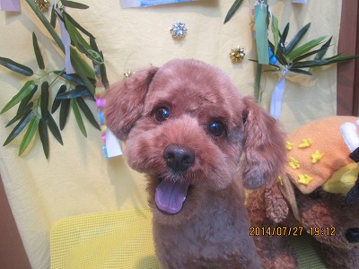 ファイル 7845-2.jpg