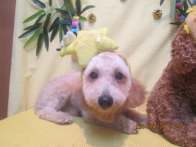 ファイル 7846-1.jpg