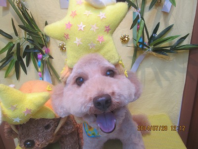 ファイル 7849-1.jpg