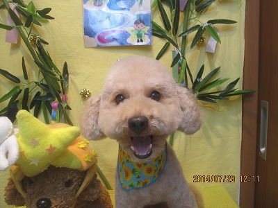 ファイル 7849-2.jpg