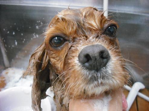 ファイル 785-2.jpg