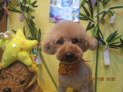 ファイル 7850-2.jpg